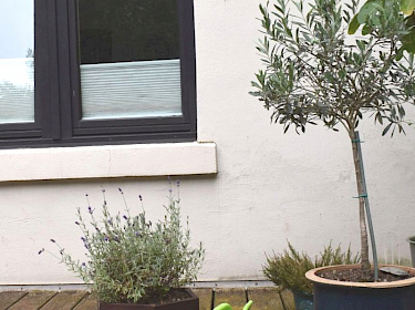 Bild nicht vorhanden